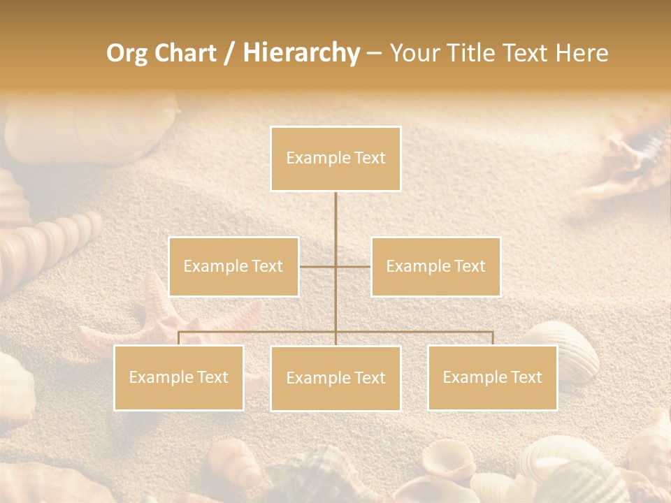 Seashells On Sand PowerPoint Template