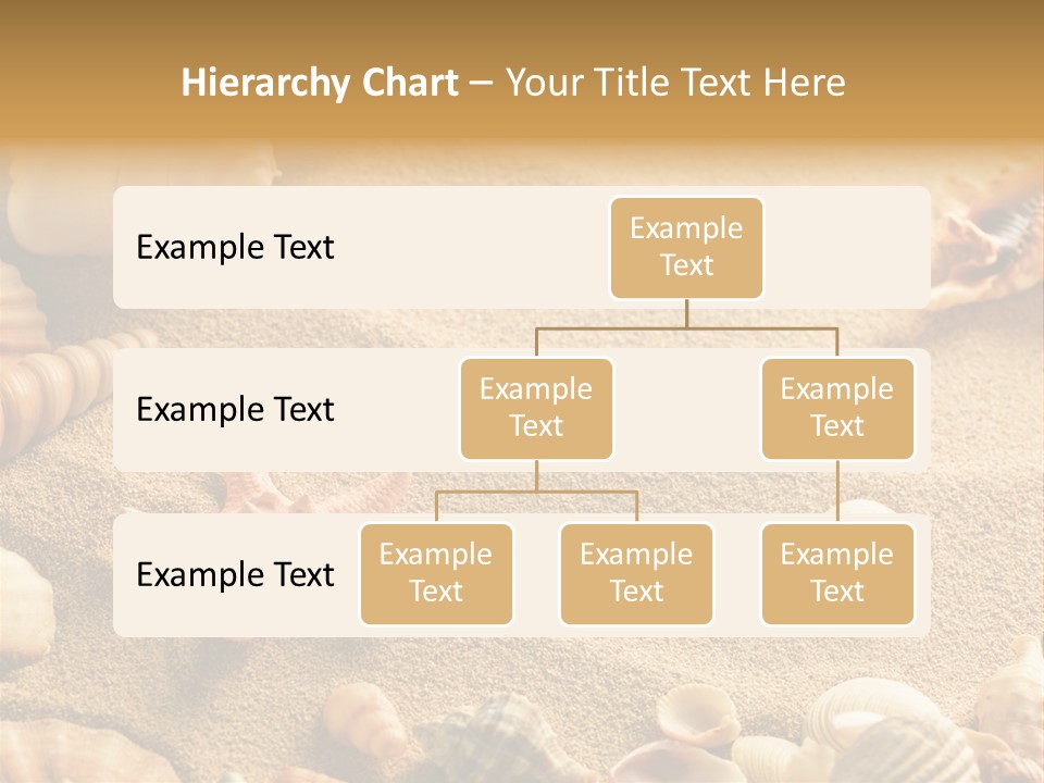 Seashells On Sand PowerPoint Template