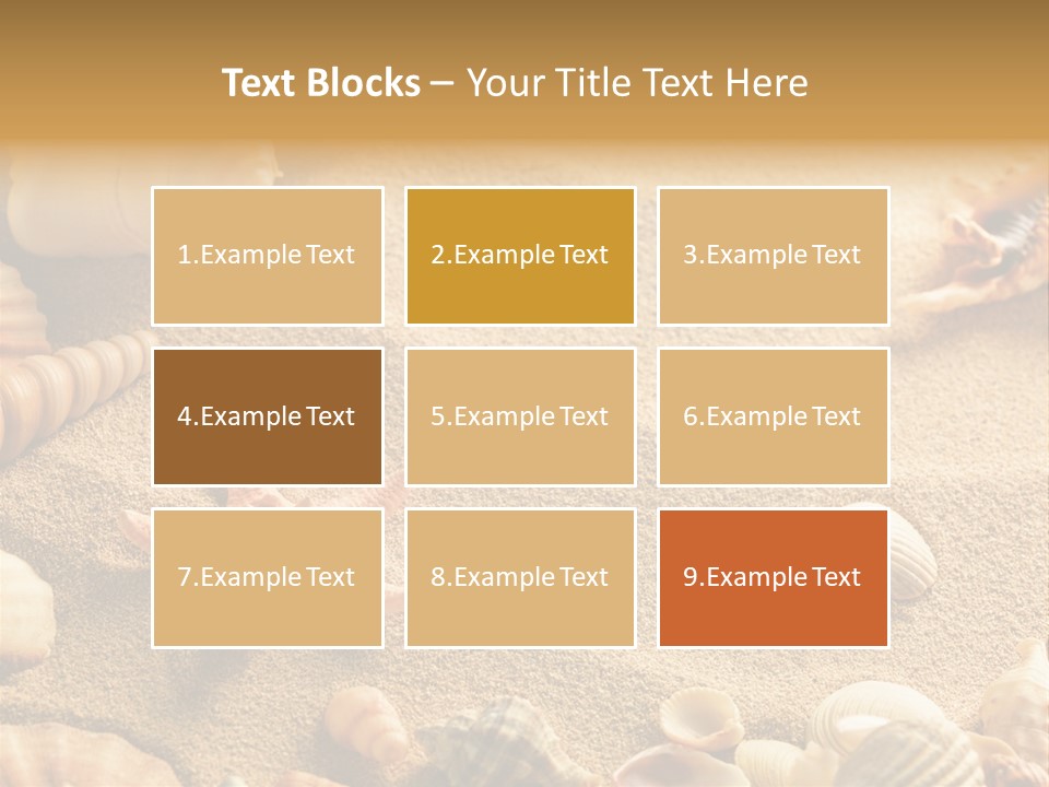 Seashells On Sand PowerPoint Template