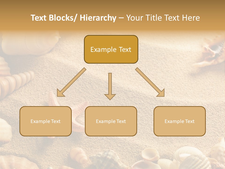 Seashells On Sand PowerPoint Template