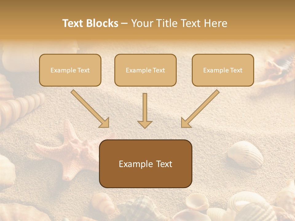 Seashells On Sand PowerPoint Template