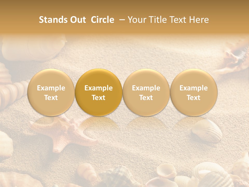 Seashells On Sand PowerPoint Template