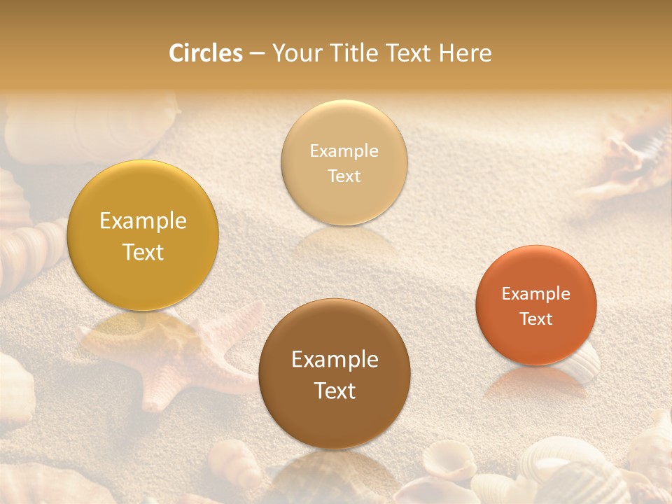 Seashells On Sand PowerPoint Template