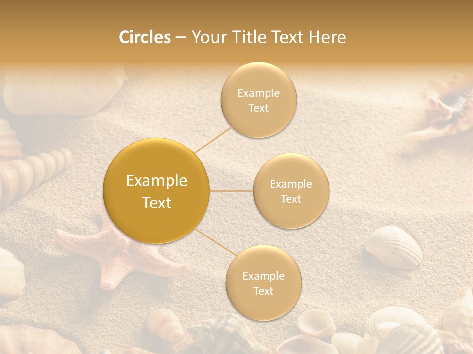 Seashells On Sand PowerPoint Template