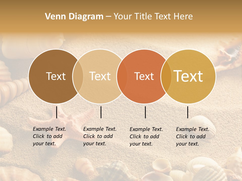 Seashells On Sand PowerPoint Template