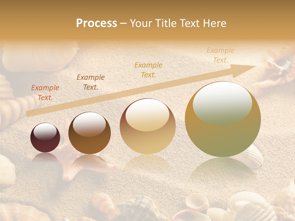 Seashells On Sand PowerPoint Template
