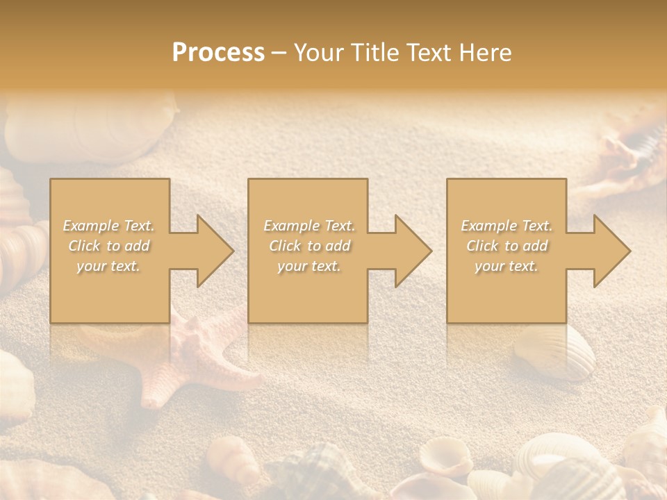 Seashells On Sand PowerPoint Template