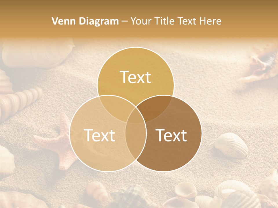 Seashells On Sand PowerPoint Template