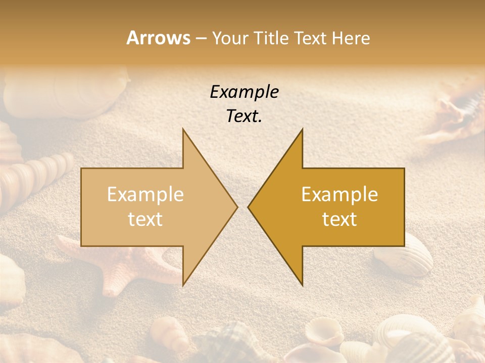Seashells On Sand PowerPoint Template