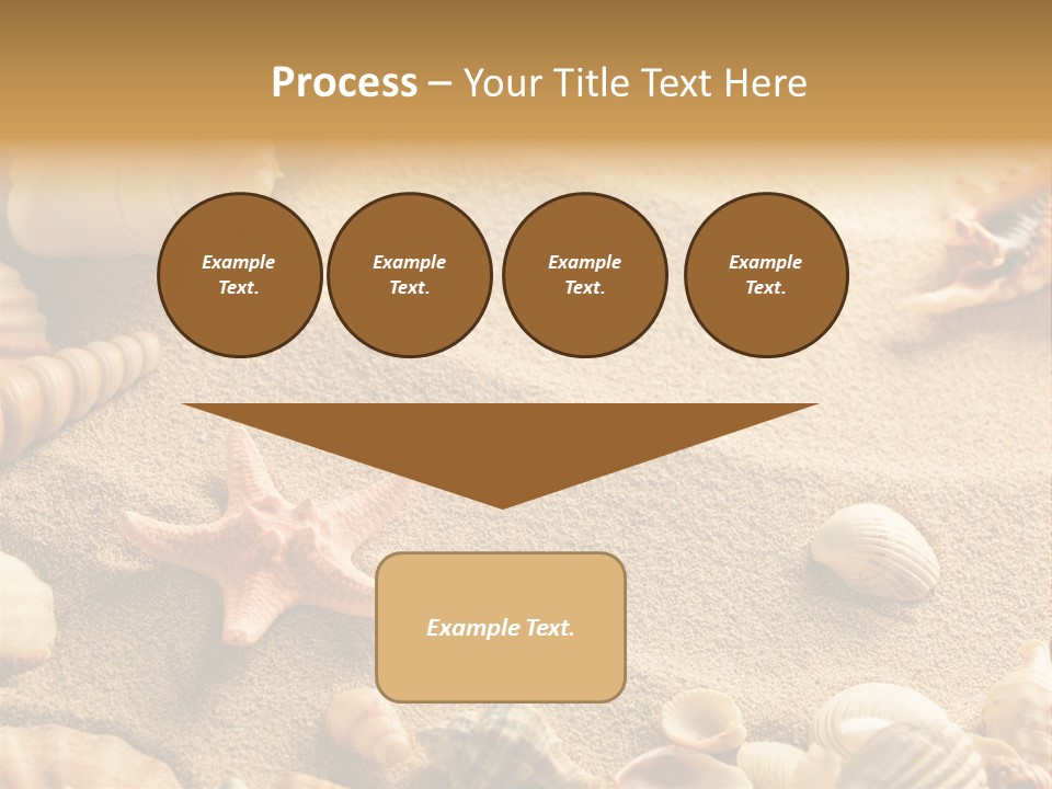 Seashells On Sand PowerPoint Template