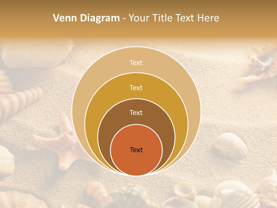 Seashells On Sand PowerPoint Template