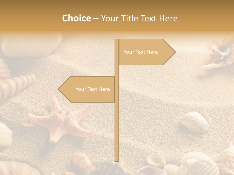 Seashells On Sand PowerPoint Template