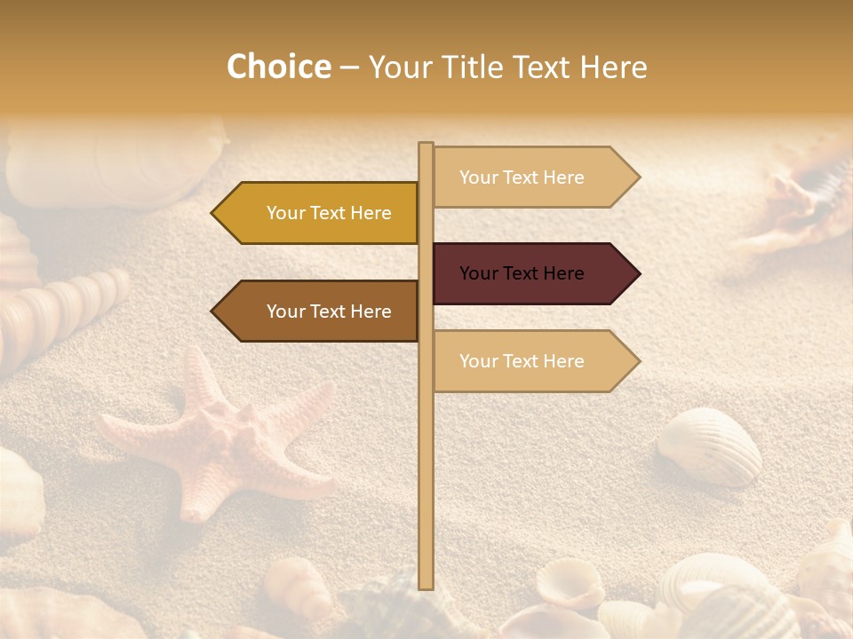 Seashells On Sand PowerPoint Template
