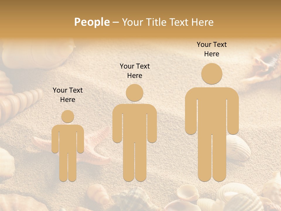 Seashells On Sand PowerPoint Template