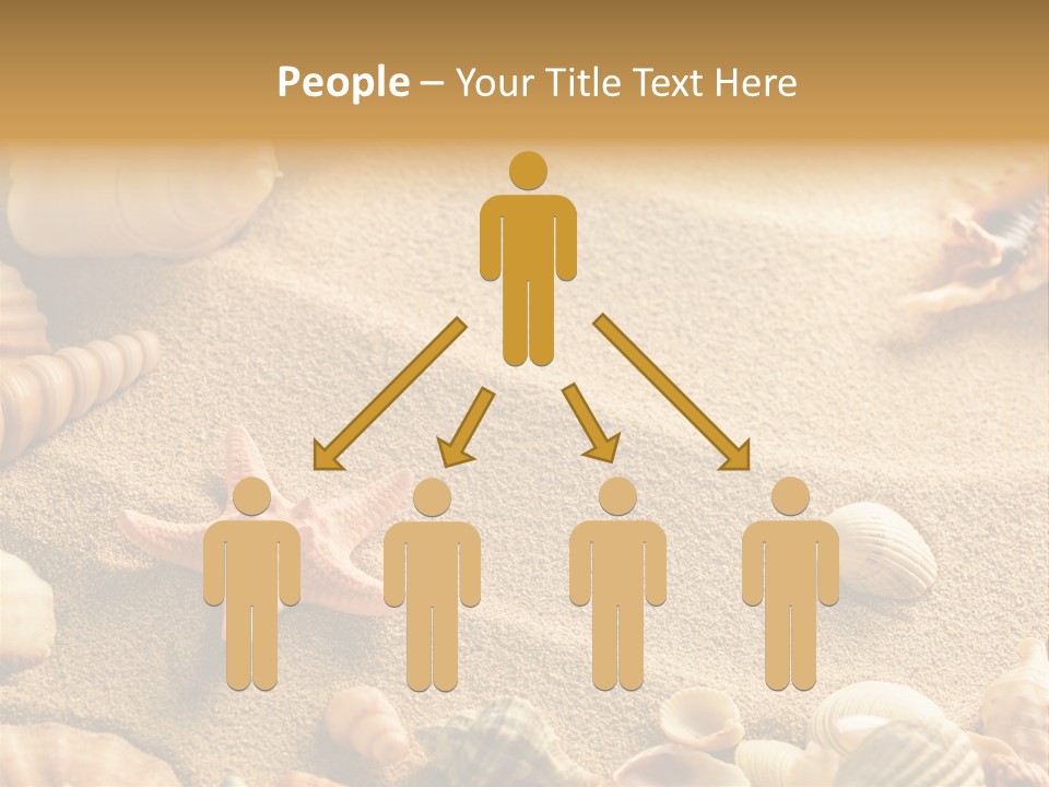 Seashells On Sand PowerPoint Template