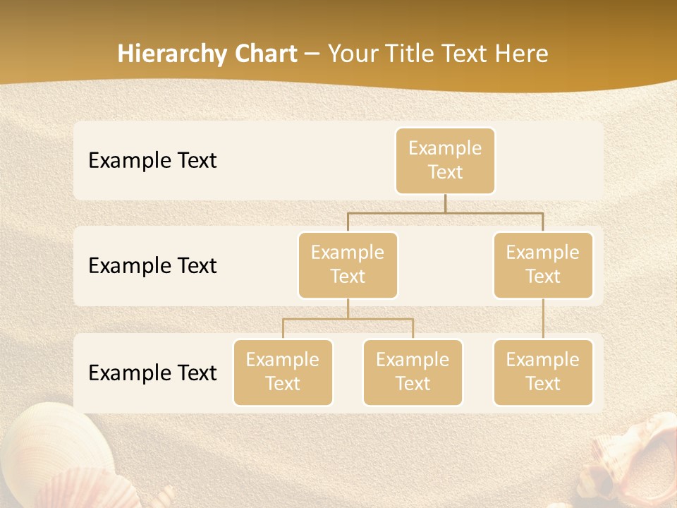 Sand Shells PowerPoint Template