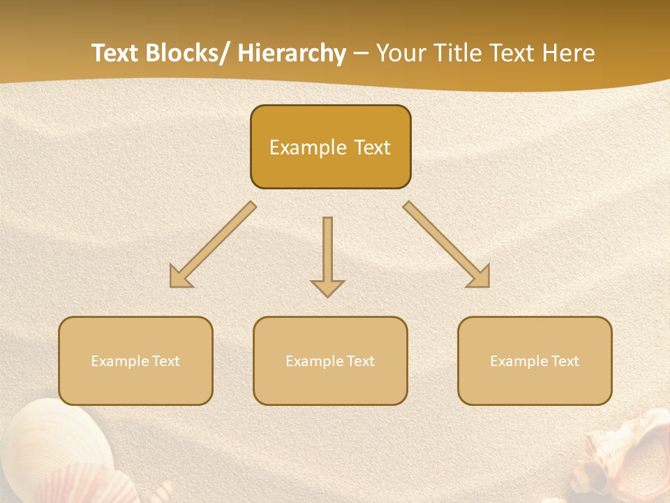 Sand Shells PowerPoint Template