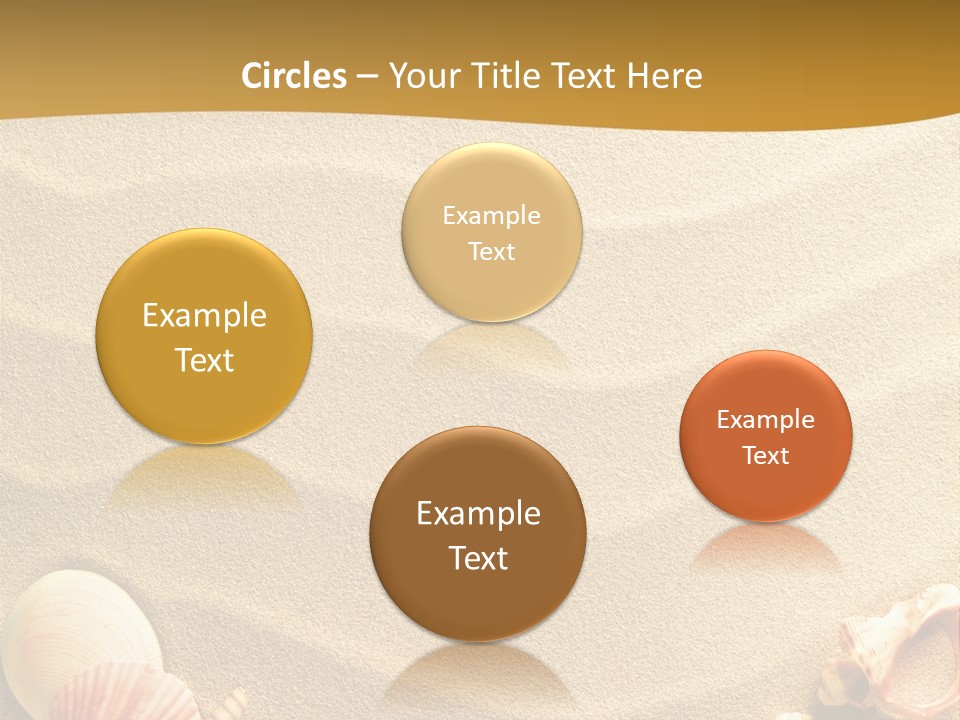 Sand Shells PowerPoint Template