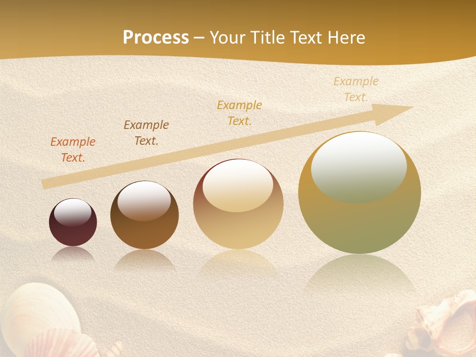 Sand Shells PowerPoint Template