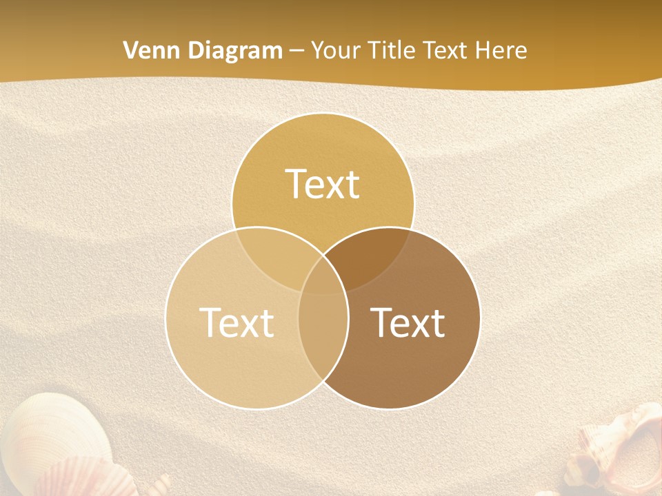 Sand Shells PowerPoint Template