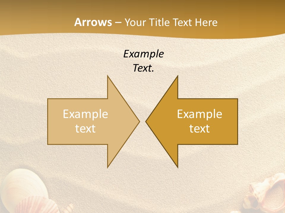 Sand Shells PowerPoint Template