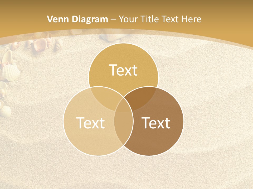 Sea Shells On Sand PowerPoint Template