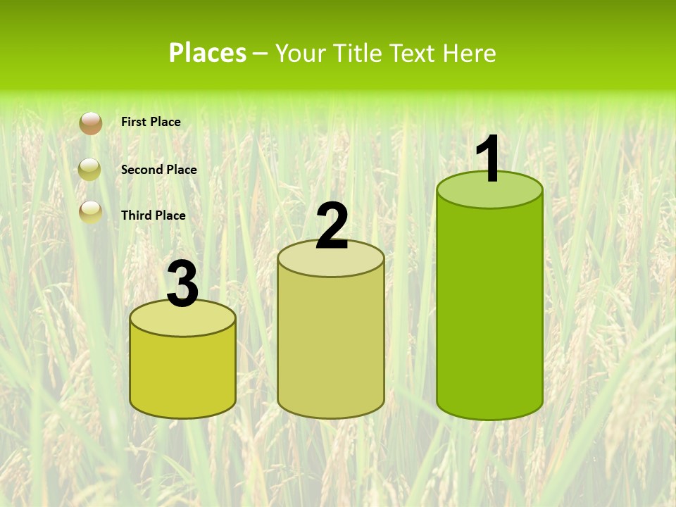 Rice Paddy PowerPoint Template