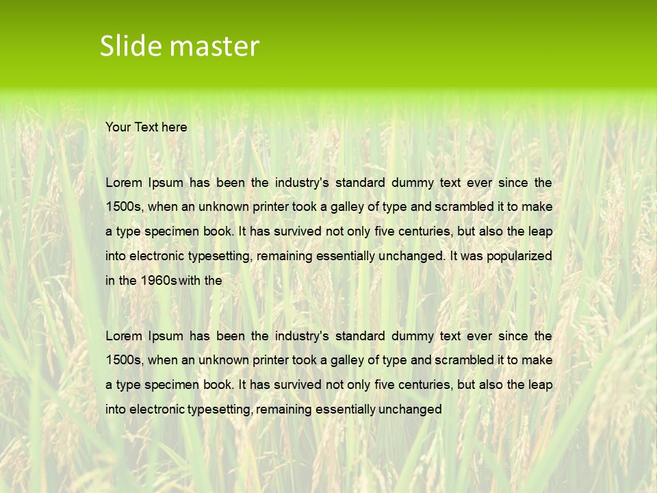 Rice Paddy PowerPoint Template