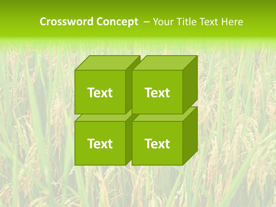 Rice Paddy PowerPoint Template