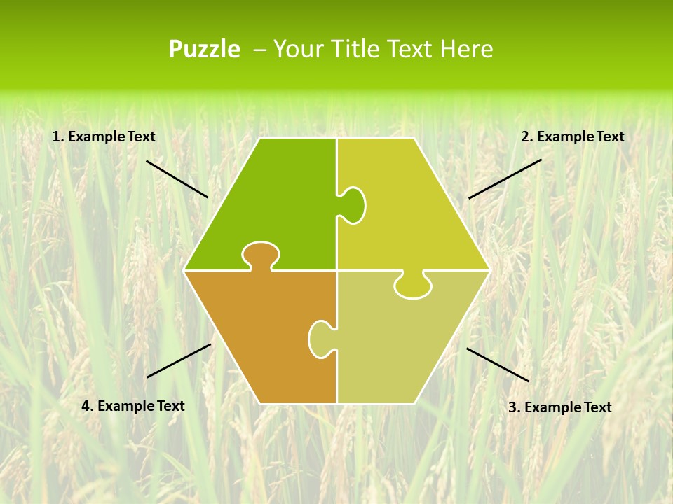 Rice Paddy PowerPoint Template