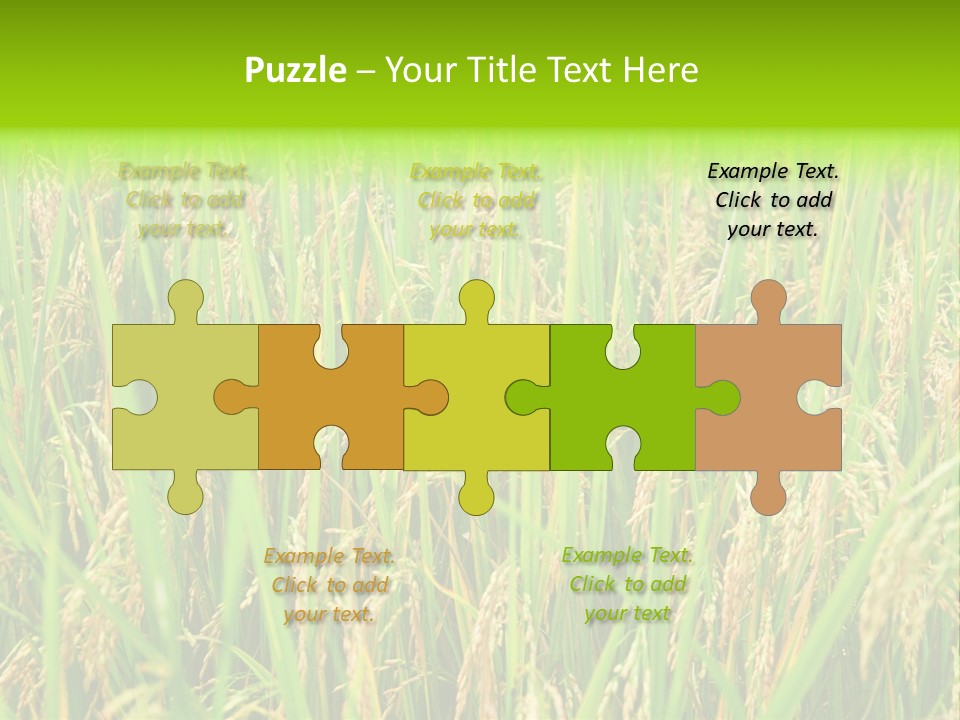 Rice Paddy PowerPoint Template