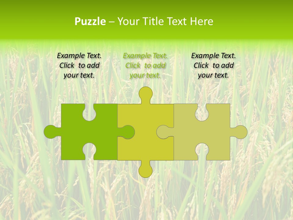 Rice Paddy PowerPoint Template
