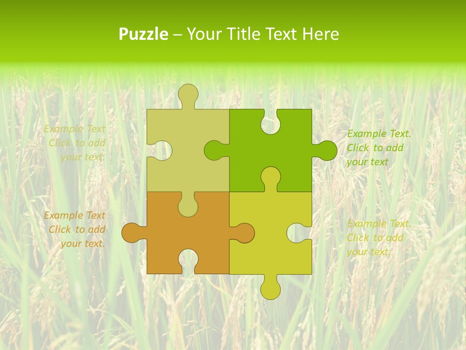 Rice Paddy PowerPoint Template