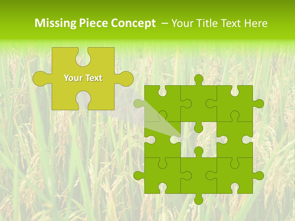 Rice Paddy PowerPoint Template