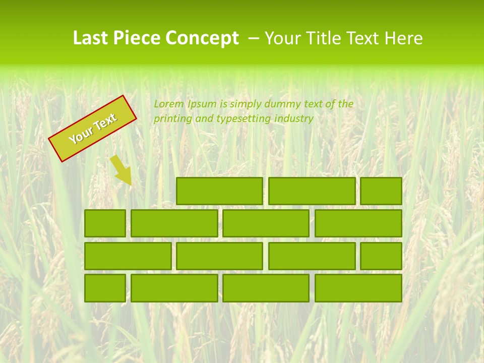 Rice Paddy PowerPoint Template