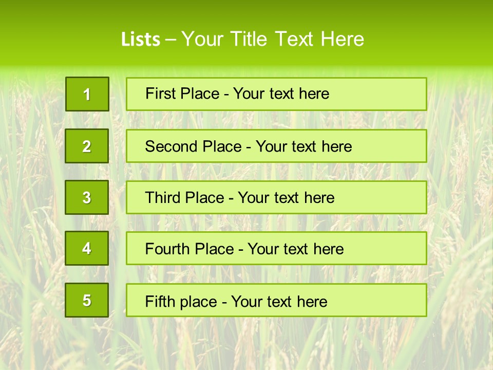 Rice Paddy PowerPoint Template