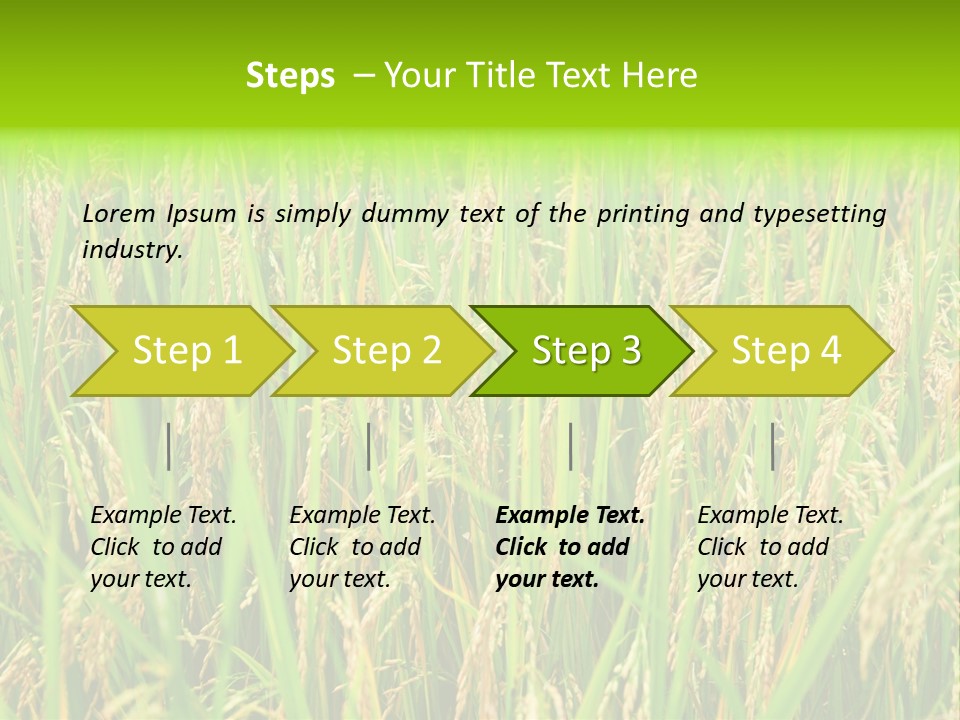 Rice Paddy PowerPoint Template
