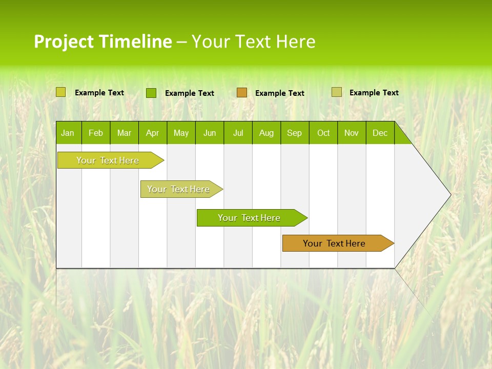 Rice Paddy PowerPoint Template