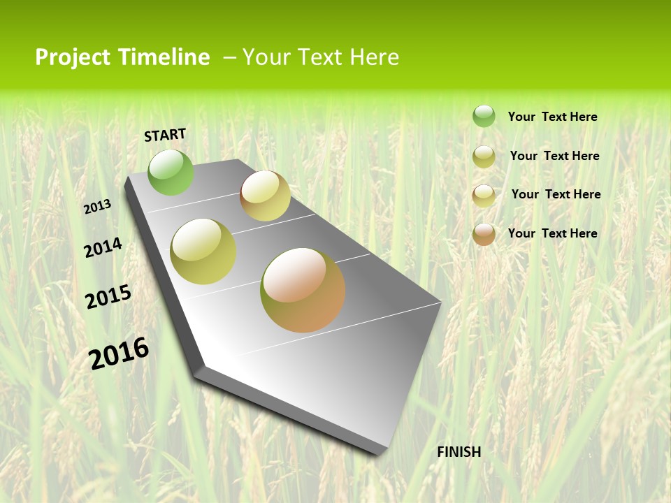 Rice Paddy PowerPoint Template
