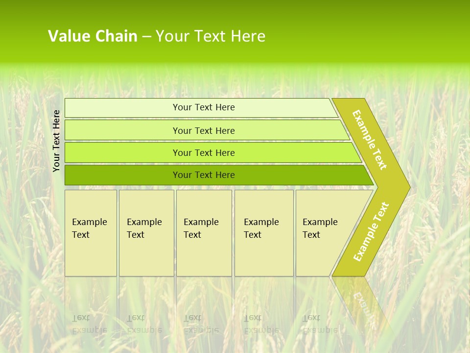 Rice Paddy PowerPoint Template