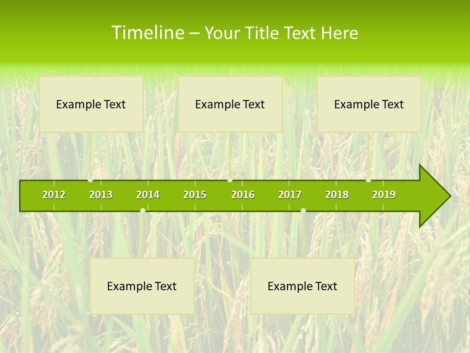 Rice Paddy PowerPoint Template