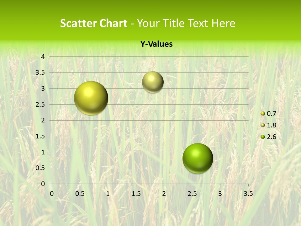 Rice Paddy PowerPoint Template