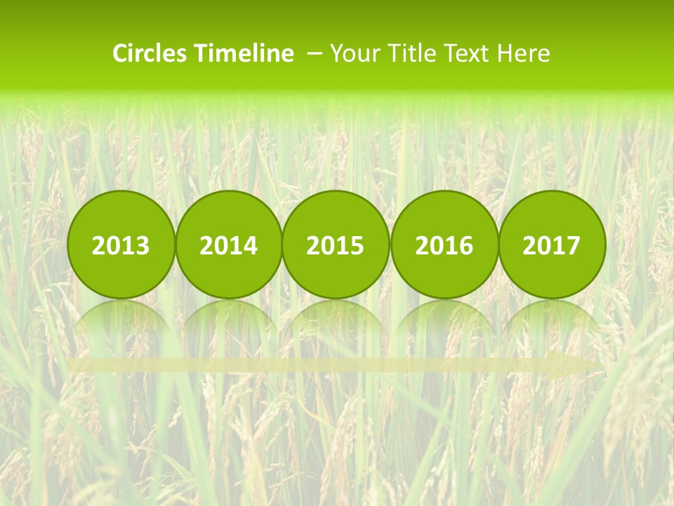 Rice Paddy PowerPoint Template