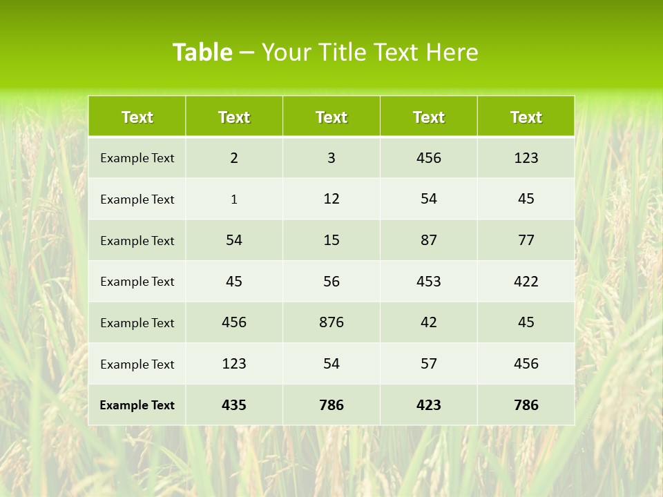 Rice Paddy PowerPoint Template