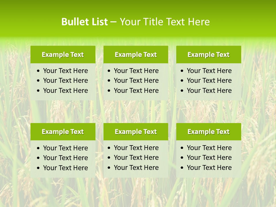 Rice Paddy PowerPoint Template