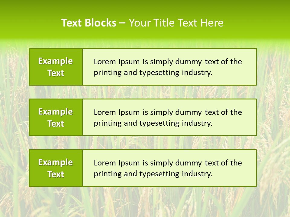 Rice Paddy PowerPoint Template