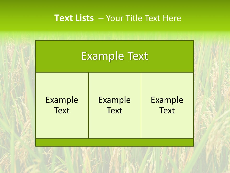 Rice Paddy PowerPoint Template
