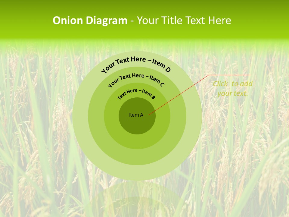 Rice Paddy PowerPoint Template