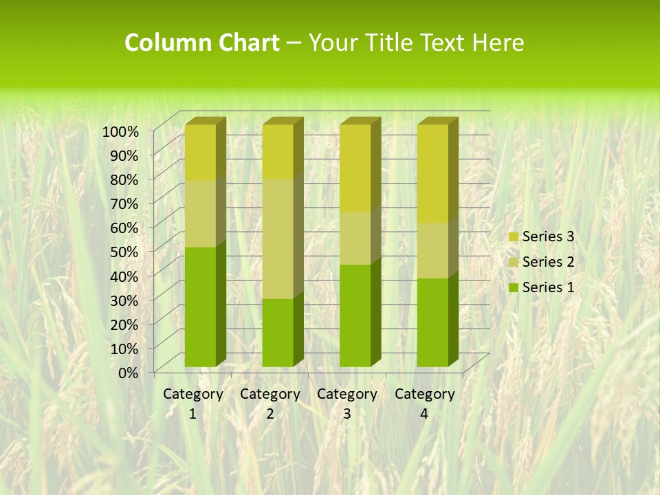 Rice Paddy PowerPoint Template