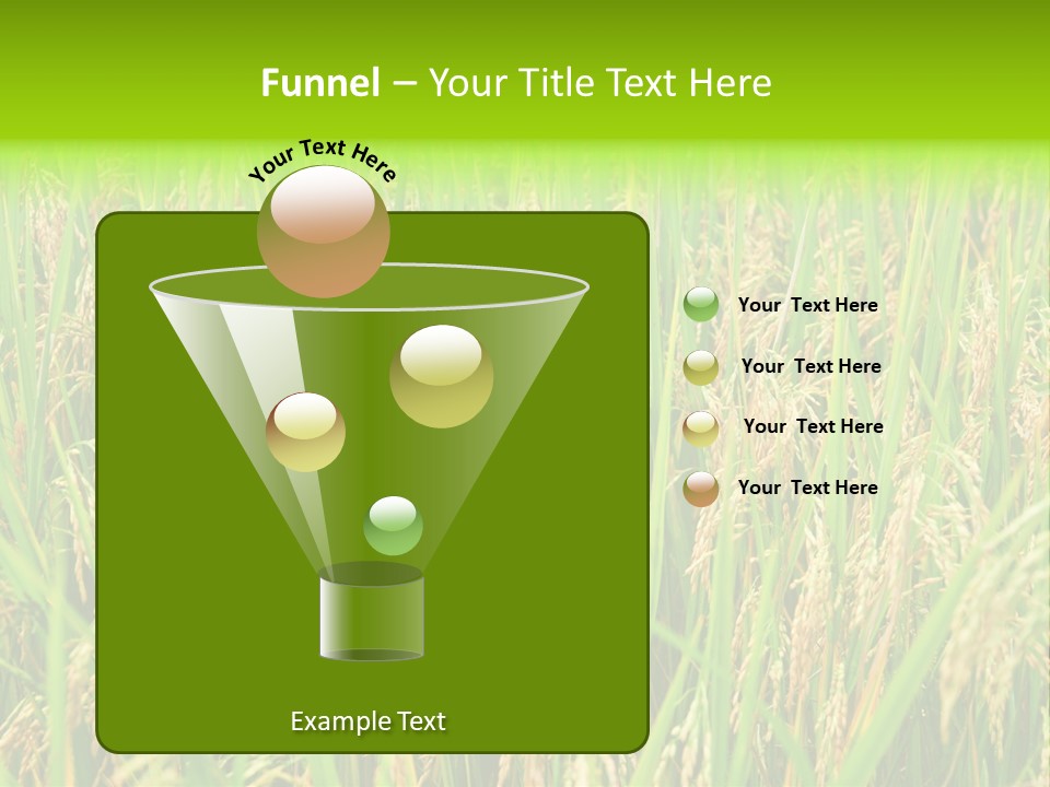 Rice Paddy PowerPoint Template